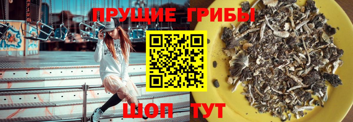 Псилоцибиновые грибы Cubensis  Галлюциногенные грибы мухоморы  Коммунар  Вход с VPN 
