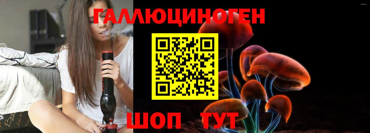 Псилоцибиновые грибы Psilocybe Коммунар